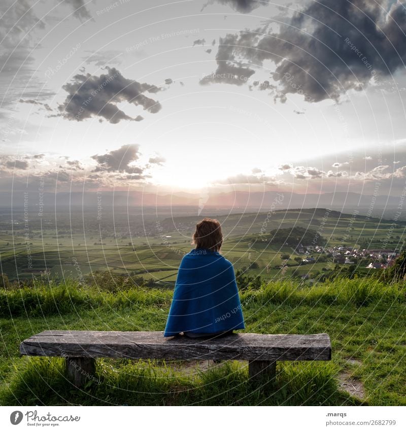 Abendprogramm Ferien & Urlaub & Reisen Tourismus Mensch feminin Junge Frau Jugendliche 1 Natur Landschaft Himmel Wolken Sommer Schönes Wetter Wein Wiese Hügel