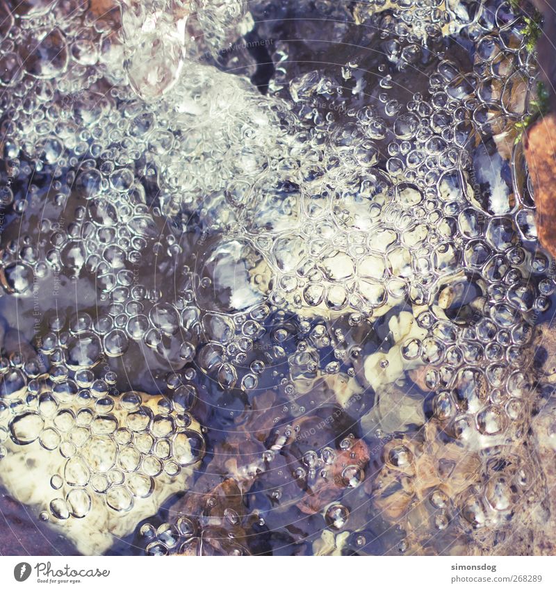 sprudel sprudel Natur Urelemente Wasser Teich Bach Fluss sprudelnd Blase Luftblase frisch nass Klarheit Farbfoto Gedeckte Farben Außenaufnahme Nahaufnahme