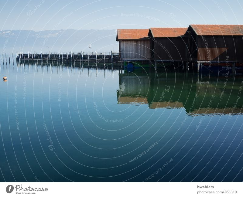 am See Natur Wasser Frühling Schönes Wetter Seeufer Menschenleer Hafen blau Bootshaus Reflexion & Spiegelung ruhig Ferne Bodensee Farbfoto Außenaufnahme Tag