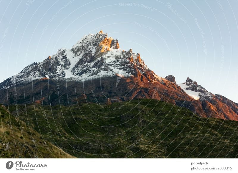 Der einsame Berg Umwelt Natur Landschaft Erde Luft Himmel Wolkenloser Himmel Sommer Schönes Wetter Schnee Baum Sträucher Moos Felsen Berge u. Gebirge