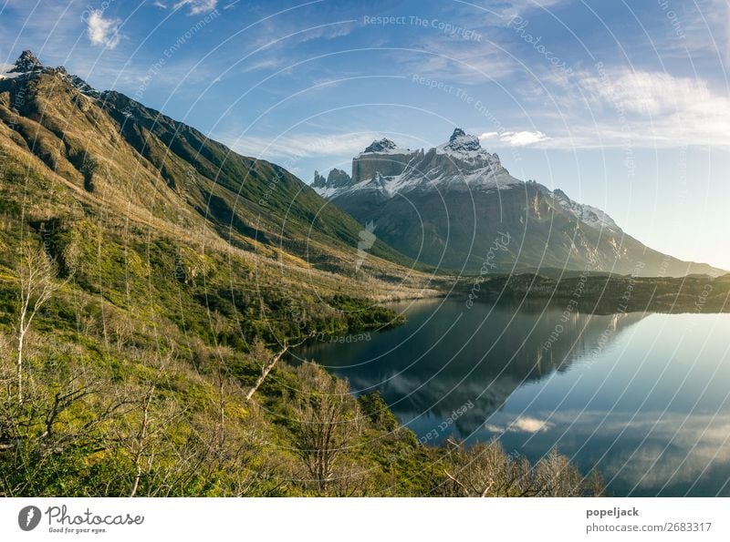 Paradies am Ende der Welt Umwelt Natur Landschaft Pflanze Erde Luft Wasser Himmel Sonnenlicht Sommer Herbst Wetter Schönes Wetter Schnee Blume Gras Sträucher