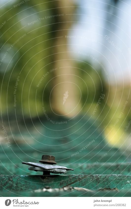 Hast du ne Schraube locker? Baum Garten Dorf Dach Wellblechhütte Schraubenmutter Metall Rost Kunststoff alt eckig kaputt retro Spitze trashig grün Einigkeit