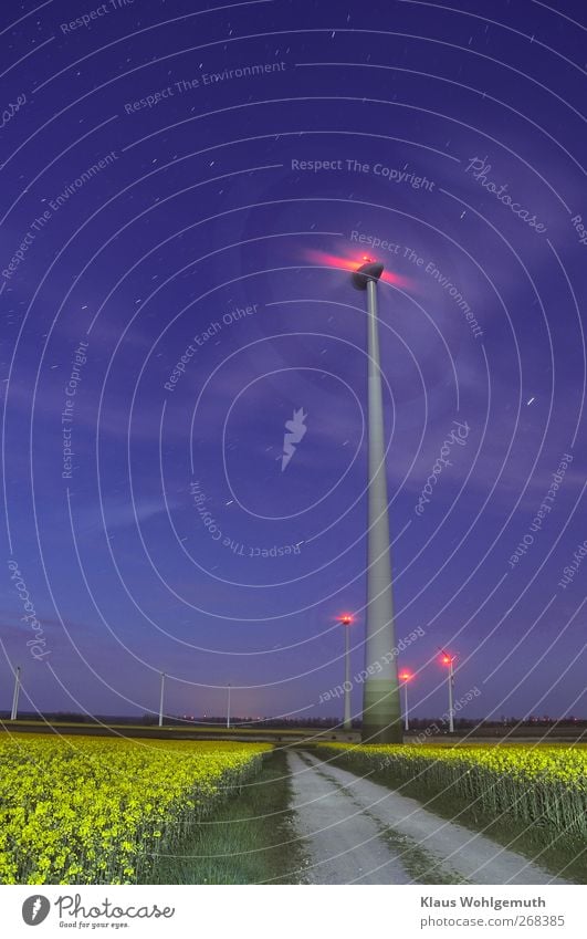 Rapsblüte im Mondschein. Unter dem sternenklaren Himmel stehen Windräder in blühenden Rapsfeldern.Die Luft ist von schwerem Duft erfüllt. Technik & Technologie