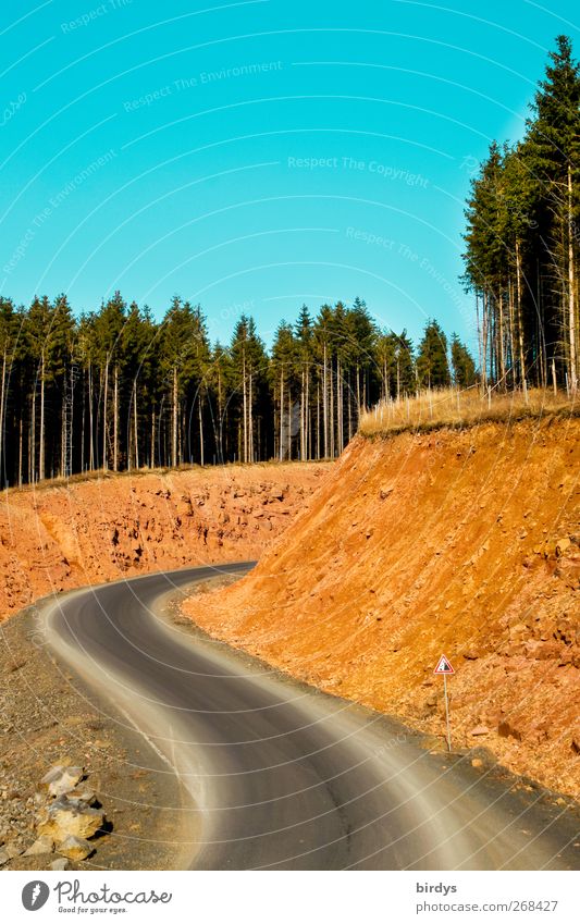 Straßenschlucht Erde Himmel Wolkenloser Himmel Frühling Sommer Herbst Schönes Wetter Wald Felsen Schlucht Verkehrszeichen Verkehrsschild leuchten gigantisch