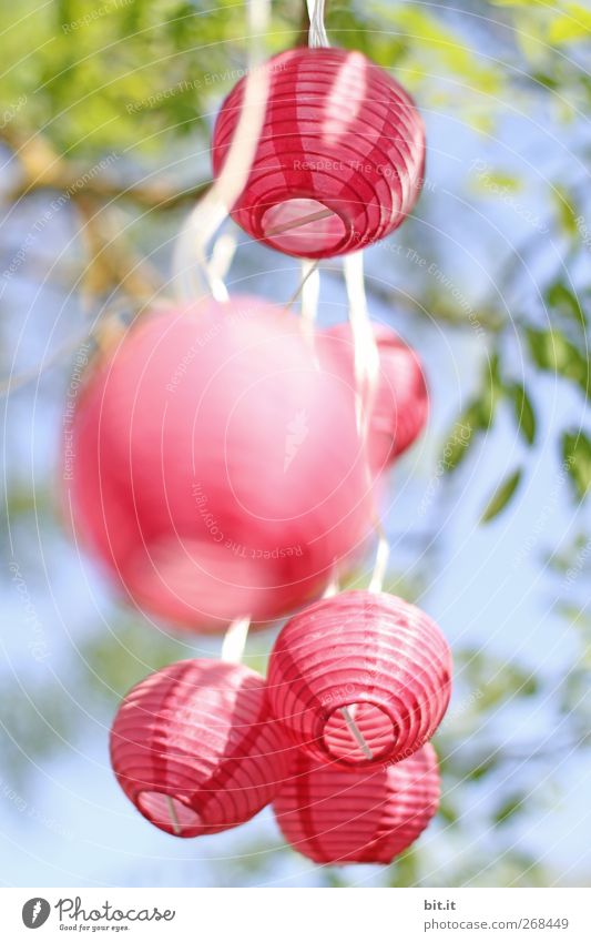 und es bewegt sich doch Häusliches Leben Garten Dekoration & Verzierung Party Veranstaltung Feste & Feiern Muttertag Jahrmarkt Hochzeit Geburtstag Frühling