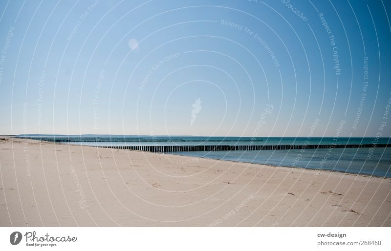 So weit die Füße tragen harmonisch Erholung ruhig Meditation Umwelt Natur Landschaft Sand Wasser Himmel Wolkenloser Himmel Sonnenlicht Frühling Sommer