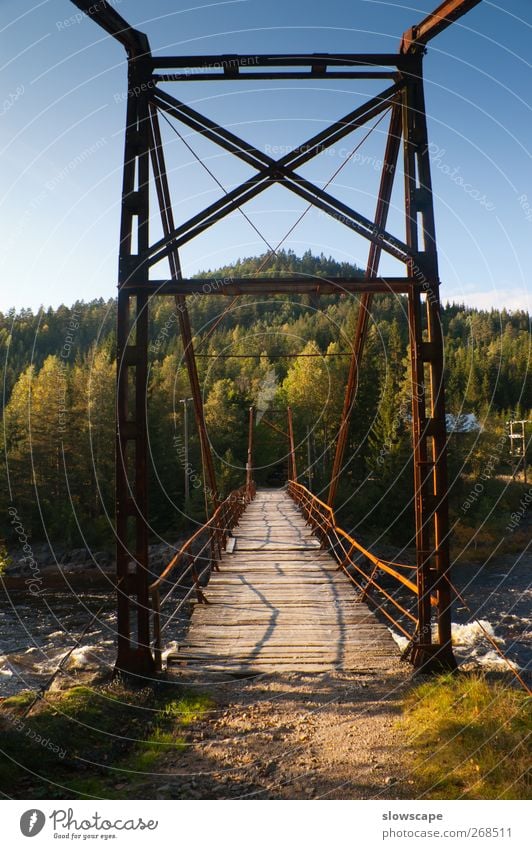 Alte Brücke in der Wildniss Sommer Herbst Flussufer Bach Verkehrswege Straße Straßenkreuzung Wege & Pfade Wegkreuzung alt eckig einfach kaputt Wärme blau braun