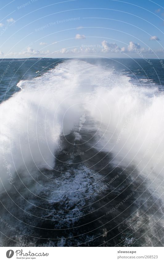 Volle Kraft Voraus Ferien & Urlaub & Reisen Freiheit Kreuzfahrt Schifffahrt Binnenschifffahrt Bootsfahrt Passagierschiff Kreuzfahrtschiff Fähre Sportboot