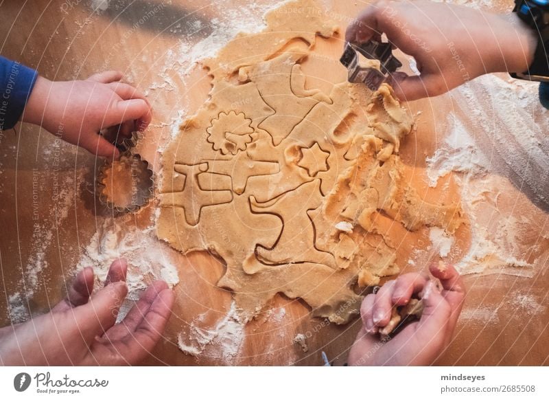 Vier Hände stechen Weihnachtsplätzchen aus Plätzchen ausstechen Plätzchenteig Mehl backen Teigwaren Küche Kind Hand 1-3 Jahre Kleinkind 3-8 Jahre Kindheit Duft