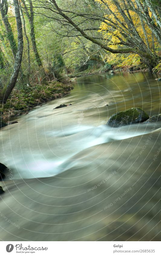 Herbstlandschaft mit einem von Bäumen umgebenen Fluss schön Natur Landschaft Himmel Wolken Baum Moos Blatt Park Wald Teich See Bach hell natürlich wild blau