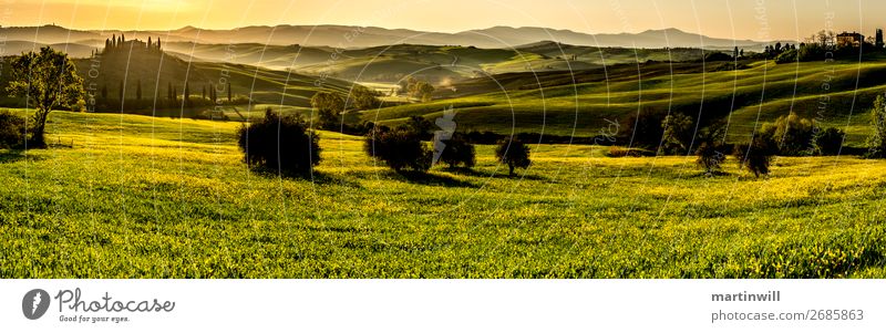 Panorama im Val D'Orcia Toskana im Sonnenaufgang Ferien & Urlaub & Reisen Tourismus Villa Landschaft Sonnenuntergang Frühling Schönes Wetter Wiese Feld Hügel