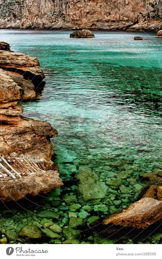 Cala Figuera Erholung ruhig Ferien & Urlaub & Reisen Natur Landschaft Wasser Frühling Felsen Küste Bucht Meer Mittelmeer Stein blau braun Leiter türkis Farbfoto