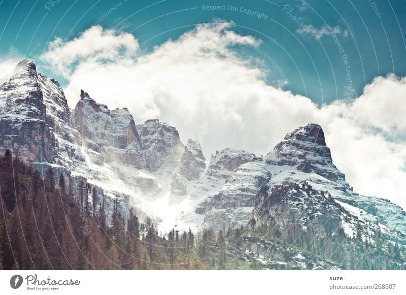 Massiv Ferien & Urlaub & Reisen Umwelt Natur Landschaft Urelemente Himmel Wolken Frühling Klima Schönes Wetter Wald Felsen Alpen Berge u. Gebirge Gipfel