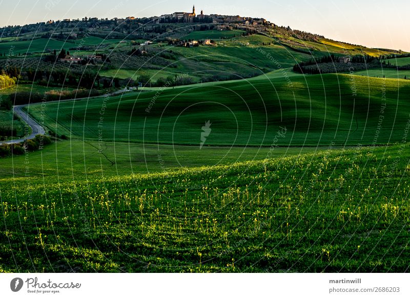 Pienza im Morgenlicht Ferien & Urlaub & Reisen Landschaft Frühling Gras Hügel Toskana Val d'Orcia Dorf Menschenleer Straße ruhig Wege & Pfade Schatten