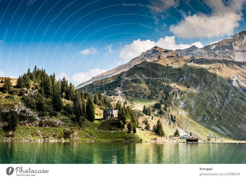 2000 m.ü.M Umwelt Natur Landschaft Urelemente Himmel Wolken Sonne Sonnenlicht Sommer Wetter Schönes Wetter Baum Wald Felsen Alpen Berge u. Gebirge Gipfel