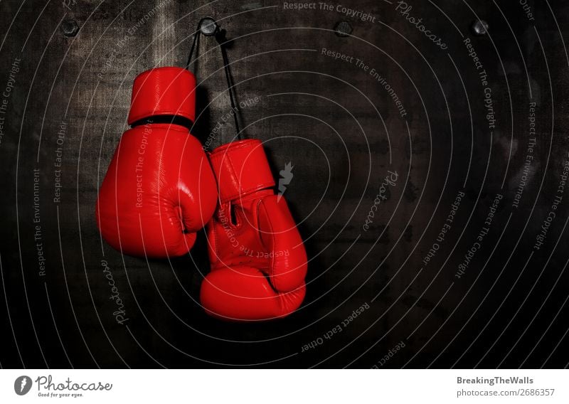 Rote Boxhandschuhe aus Leder, die an der schwarzen Wand hängen. Sport Fitness Sport-Training Kampfsport dunkel rot Aggression Konkurrenz Boxsport erhängen