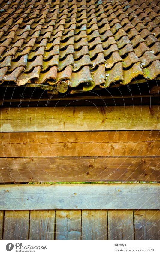 old style Hütte Fassade Dach alt authentisch Originalität positiv Wärme braun Holzwand Stall Dachziegel Ziegeldach Nostalgie Holzhütte Wellenform Farbfoto