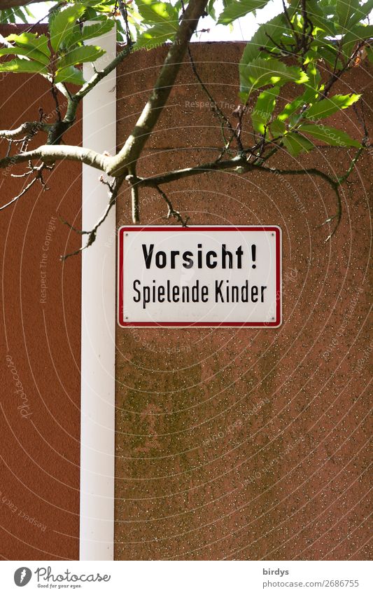 Vorwarnung oder Achtsamkeit ? Spielen Kind Kindheit Baum Ast Spielplatz Mauer Wand Schriftzeichen Hinweisschild Warnschild authentisch bedrohlich einzigartig