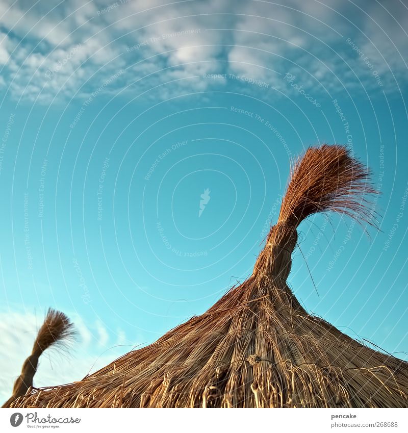 die insel Himmel Sommer Strand Wahrzeichen träumen Wunsch Zufriedenheit Mallorca Sonnenschirm Luftverkehr Geldmaschine Farbfoto Außenaufnahme Textfreiraum oben