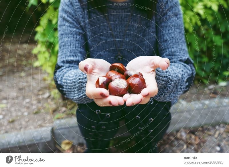 Nahaufnahme von Kastanien an den Händen einer jungen Frau Lebensmittel Lifestyle Stil Glück schön Erholung ruhig Mensch feminin Erwachsene Hand 1 18-30 Jahre