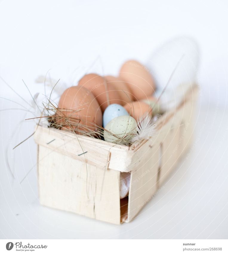 Eier im Korb Lebensmittel Ernährung Frühstück Restaurant Ostern Nutztier Haushuhn Kasten braun weiß eier Bauer Bauernhof Landwirtschaft Feder Stroh Straußenei