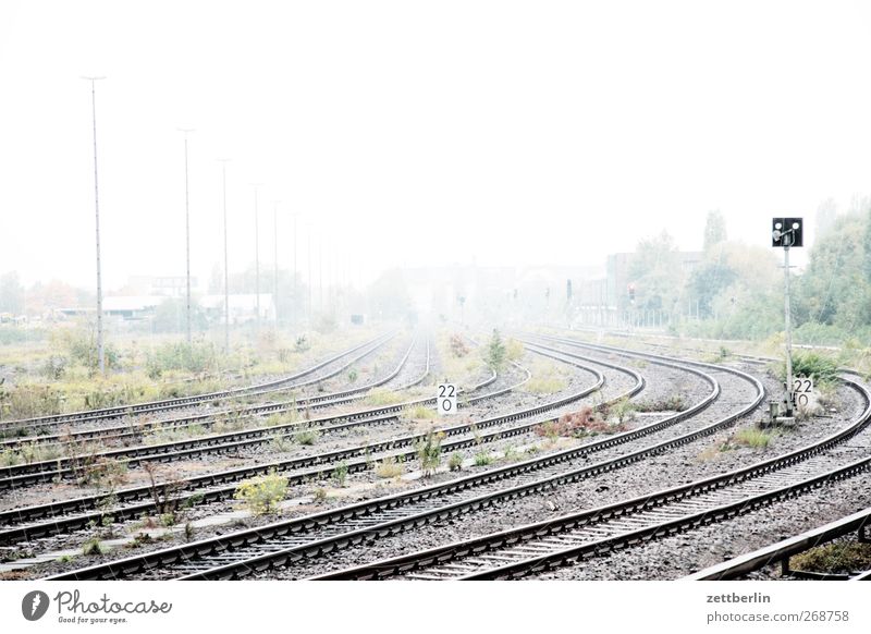 Hell Umwelt Natur Landschaft Klima Klimawandel Wetter Nebel Verkehr Verkehrsmittel Verkehrswege Schienenverkehr Bahnfahren Gleise Weiche Schienennetz hell