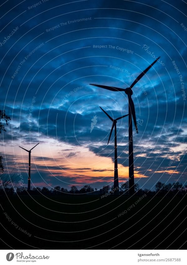 energie Wirtschaft Energiewirtschaft Technik & Technologie High-Tech Erneuerbare Energie Windkraftanlage Industrie Landschaft Himmel Wolken Sonnenaufgang