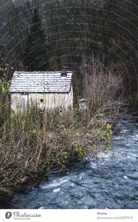 Rückzugsort Winter Schnee Wald Bach Waldrand Dorf Stadtrand Menschenleer Haus Hütte dunkel einfach gruselig klein blau grau schwarz Einsamkeit Idylle Nostalgie