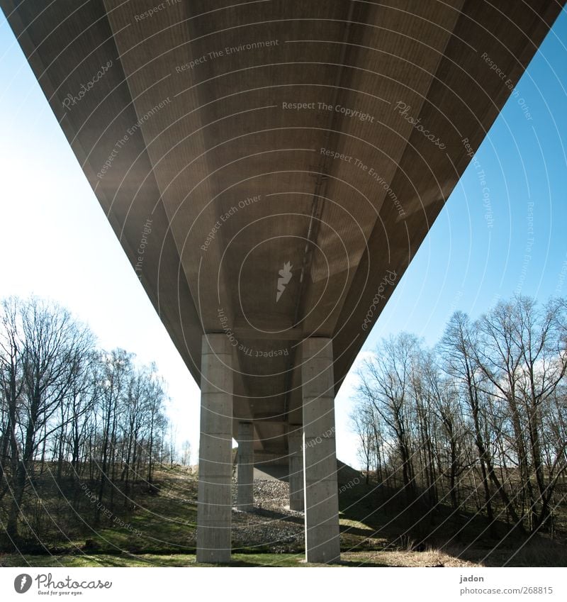 brücken baun. Handwerker Baustelle Technik & Technologie Landschaft Himmel Sonne Schönes Wetter Baum Brücke Bauwerk Architektur Verkehrswege Straßenverkehr