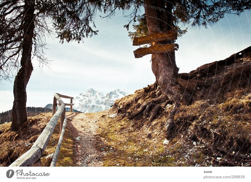 Wanderziel Umwelt Natur Landschaft Pflanze Urelemente Erde Himmel Wolkenloser Himmel Frühling Klima Schönes Wetter Baum Hügel Alpen Gipfel Schneebedeckte Gipfel