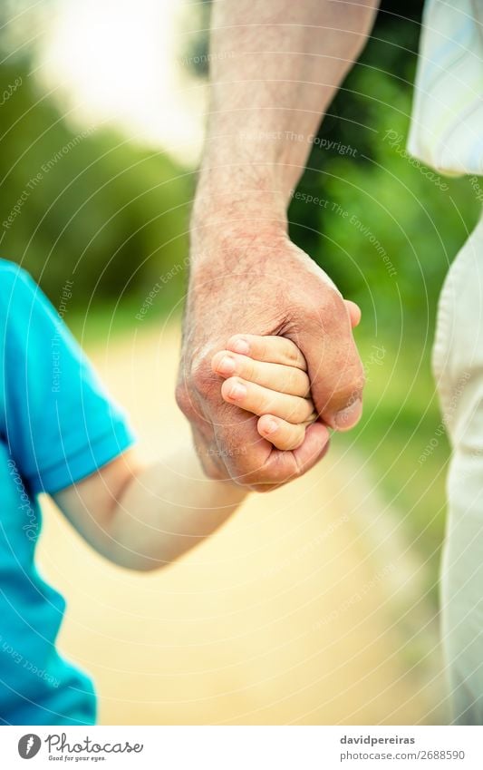 Kind hält die Hand des älteren Menschen in der Natur. Haut Leben Ruhestand Baby Junge Mann Erwachsene Eltern Vater Großvater Familie & Verwandtschaft Finger alt