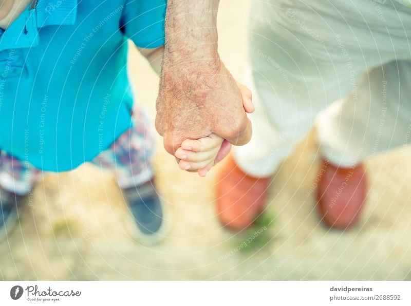 Kind hält die Hand des älteren Menschen in der Natur. Haut Leben Ruhestand Baby Junge Mann Erwachsene Eltern Vater Großvater Familie & Verwandtschaft Finger