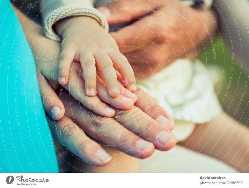 Baby Mädchen, Kind und Senior Mann im Vergleich zur Handgröße Haut Leben Mensch Junge Frau Erwachsene Eltern Vater Großvater Familie & Verwandtschaft Natur alt