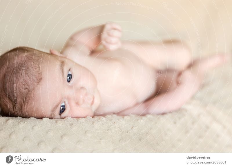 Porträt eines Neugeborenen, das sich über eine Decke legt. Lifestyle Glück schön Körper Haut Gesicht Leben Erholung Kind Mensch Baby Junge Kindheit Liebe