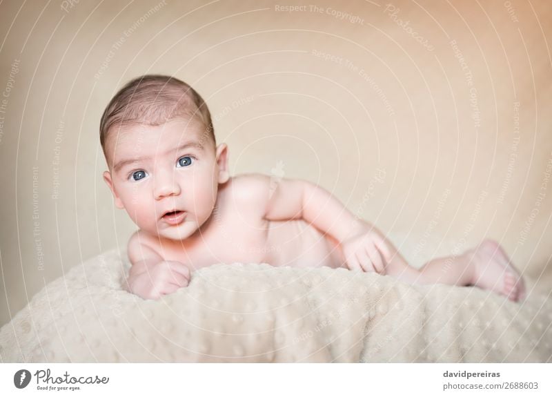 Porträt eines Neugeborenen, das sich über eine Decke legt. Lifestyle Glück schön Körper Haut Gesicht Leben Erholung Kind Mensch Baby Junge Kindheit Liebe