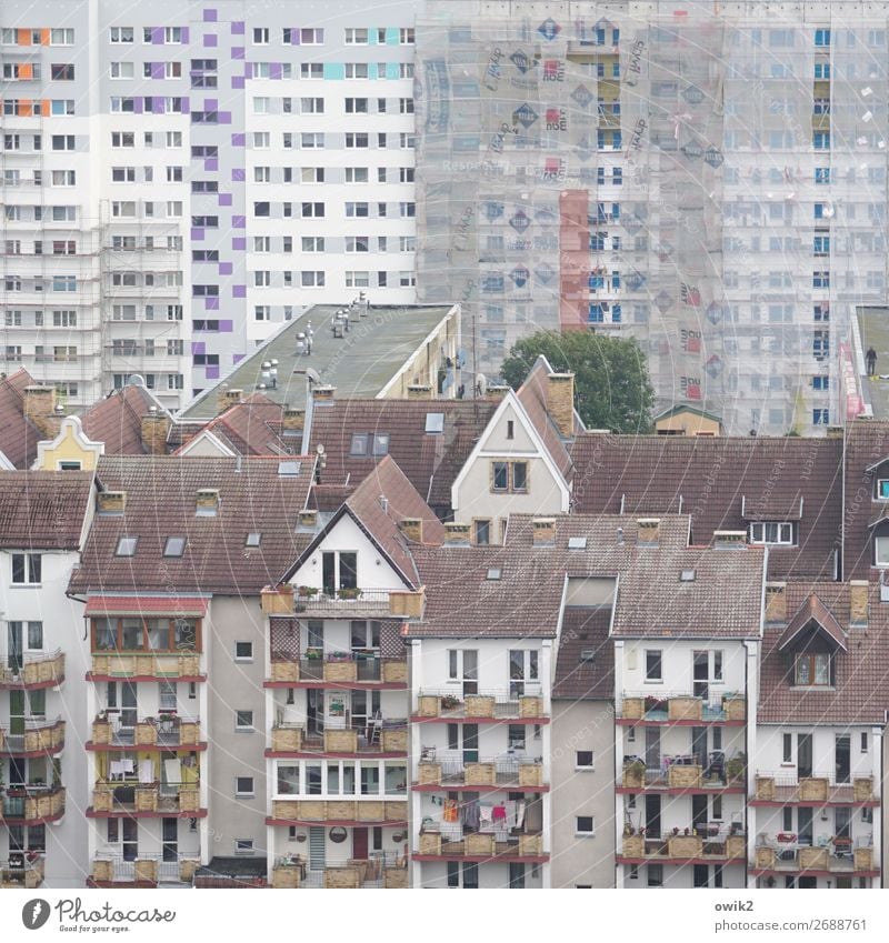 Kommunalka Kolobrzeg Kolberg Polen Osteuropa Kleinstadt Hafenstadt Stadtzentrum Altstadt bevölkert Haus Hochhaus Gebäude Plattenbau Wohnblock Sozialismus