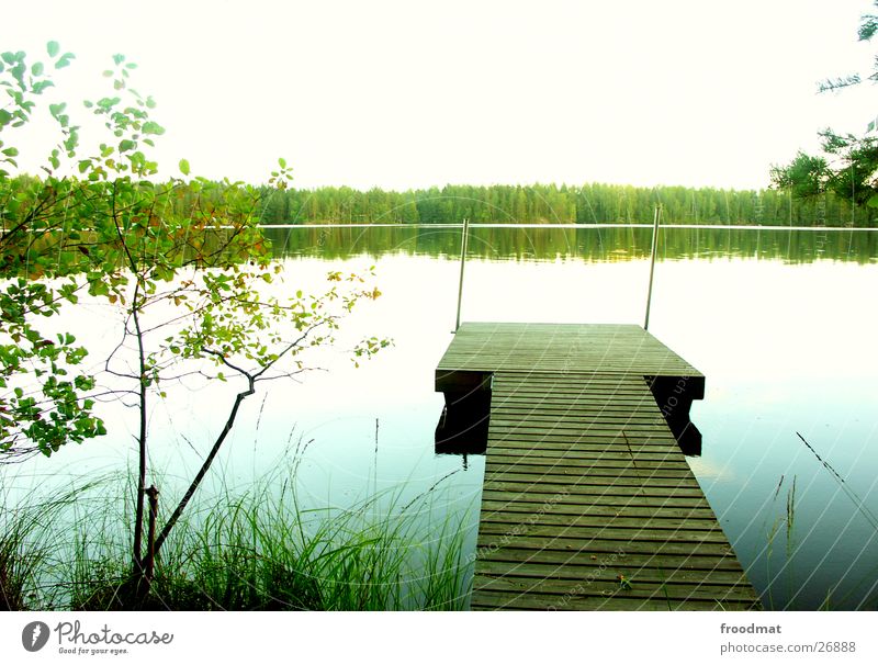 vollkommene Stille Steg Finnland See Baum ruhig Spiegel Wasseroberfläche himmlisch Wald kalt Erholung Gras Schilfrohr Strand grün Überbelichtung weiß Amerika