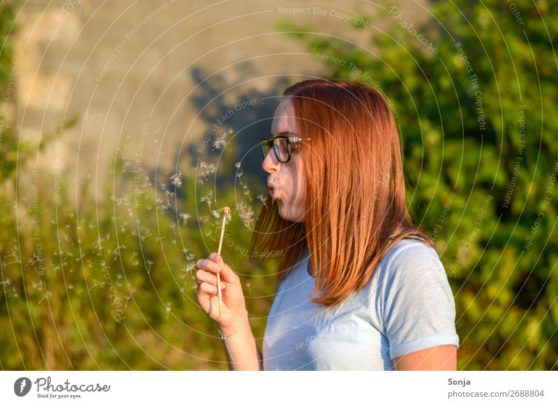 Junge Frau mit einer Pusteblume Lifestyle Sommer Mensch feminin Jugendliche Leben 1 18-30 Jahre Erwachsene T-Shirt rothaarig langhaarig Löwenzahn Brille Glück