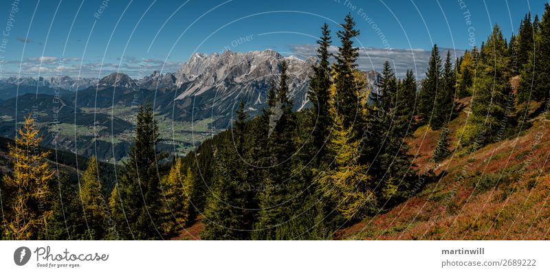 Dachstein von Gegenüber Leben Ferien & Urlaub & Reisen Tourismus Ausflug Ferne Freiheit Berge u. Gebirge wandern Natur Landschaft Herbst Wald Felsen Alpen