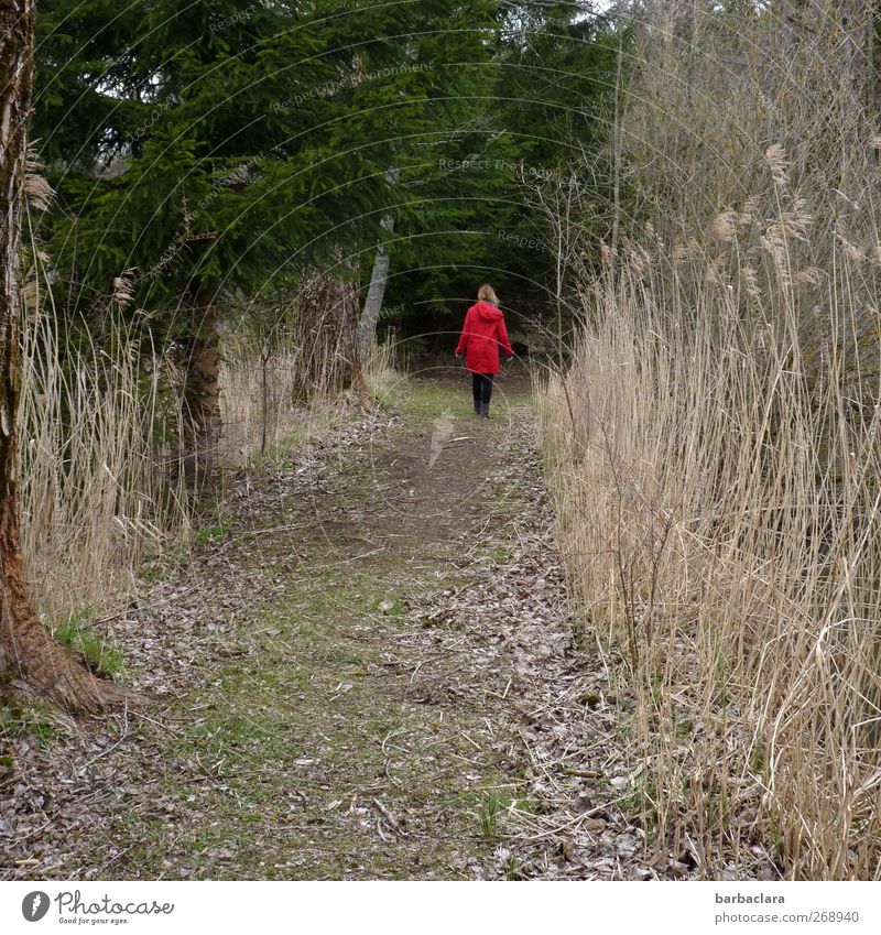 Was wird sein? Junge Frau Jugendliche Erwachsene 18-30 Jahre Natur Landschaft Pflanze Frühling Sträucher Schilfrohr Wald Teich Wege & Pfade Mantel blond