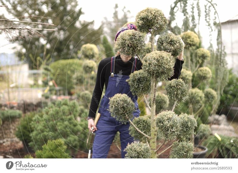 Schlechtes Versteck Freiheit Gartenarbeit Handwerk feminin Körper 1 Mensch Pflanze Baum Sträucher Grünpflanze Arbeitsanzug Wachstum frisch blau grün