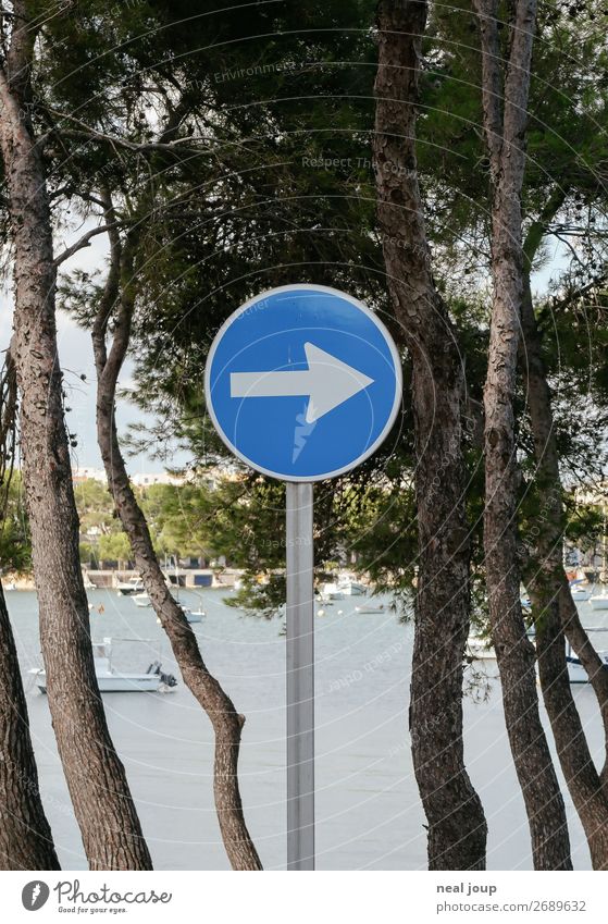 Richtung Strand Ferien & Urlaub & Reisen Ausflug Baum Küste Meer Mittelmeer Mallorca Fischerdorf Verkehr Verkehrszeichen Pfeil fahren blau Optimismus Beginn