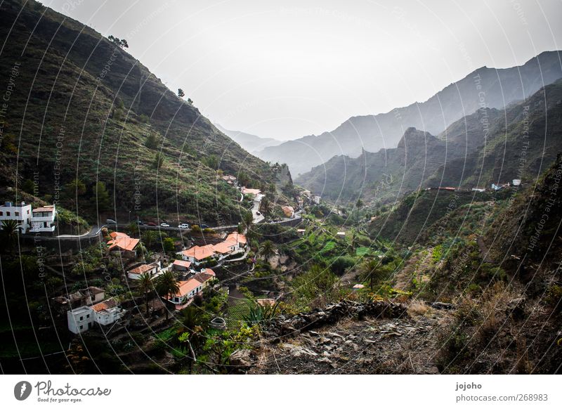 geheimnisvolles Bergdorf Umwelt Natur Landschaft Pflanze Nebel Berge u. Gebirge Gomera Dorf ästhetisch außergewöhnlich dunkel schön Gefühle Stimmung Glück