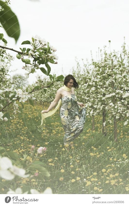 Blütenstaub Frau Erwachsene Leben 1 Mensch Natur Pflanze Frühling Schönes Wetter Wiese Feld Kleid Blühend Duft genießen Lächeln träumen Wachstum ästhetisch frei