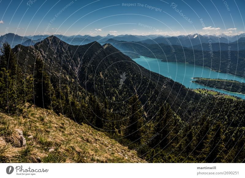 Aussicht auf Herzogstand über dem Walchensee Ferien & Urlaub & Reisen Ausflug Berge u. Gebirge wandern Natur Landschaft Schönes Wetter Alpen Gipfel See