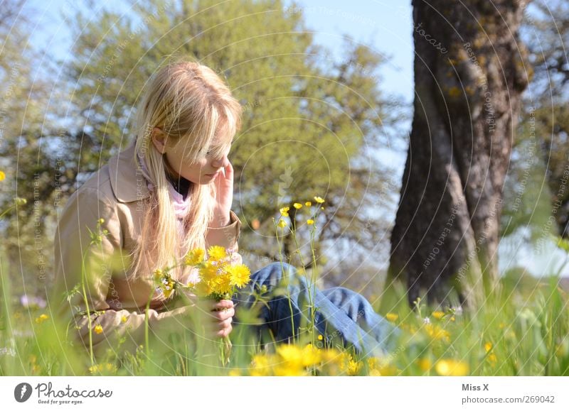 Blumenstrauß Mensch feminin Junge Frau Jugendliche Erwachsene 1 18-30 Jahre Natur Pflanze Frühling Sommer Schönes Wetter Baum Gras Blüte Garten Park Wiese