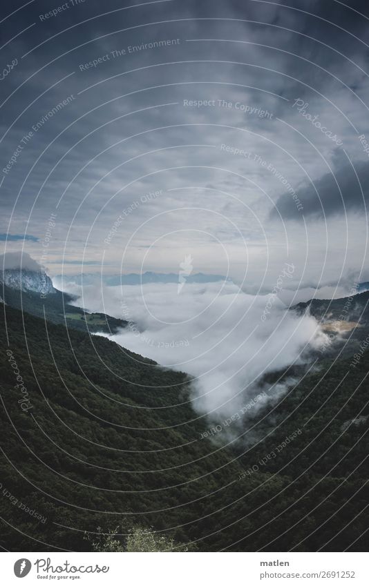 Pyrenäental Natur Landschaft Pflanze Himmel Wolken Horizont Sommer schlechtes Wetter Nebel Baum Wald Felsen Berge u. Gebirge Gipfel Schlucht Menschenleer dunkel