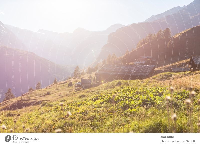 # 777 Schweiz Matterhorn Wahrzeichen Berge u. Gebirge Dorf wandern Mountainbike Trail Wege & Pfade Sonnenuntergang weiches Licht Gipfel Schneebedeckte Gipfel