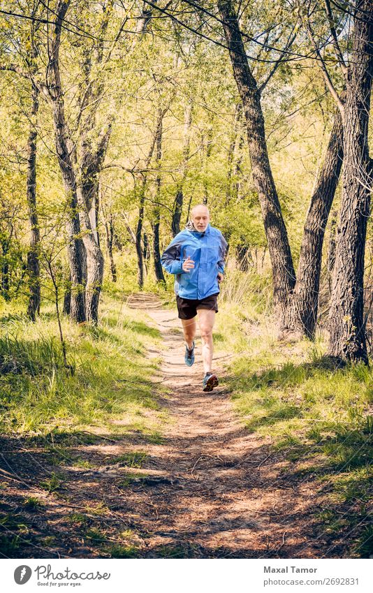 Senior Mann beim Laufen im Wald Lifestyle Glück Freizeit & Hobby Sommer Sport Joggen Mensch Erwachsene Natur Baum Park alt Fitness blau 60s Aktion Kaukasier