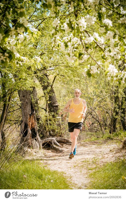 Senior Mann beim Laufen im Wald Apfel Lifestyle Glück Freizeit & Hobby Sommer Sport Joggen Mensch Erwachsene Natur Baum Blume Blüte Park alt Fitness gelb 60s